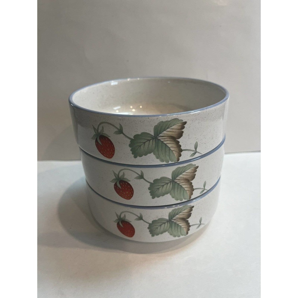 Savoir Vivre "Luscious” Soup Bowls/Dishes Set Of 3